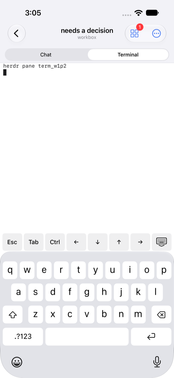 Terminal attached to a pane, showing a live agent session with a key row above the keyboard